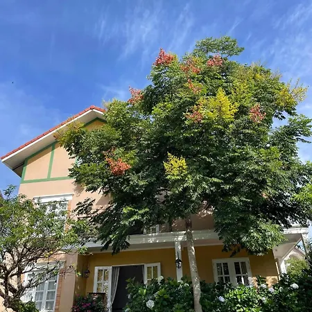 Bich Dao Boutique - Dalat-2