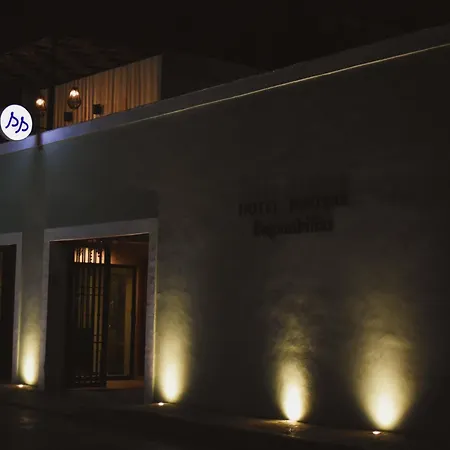Hotel Boutique Bugambilias-2