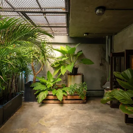 House Of Machine Boutique Hotel-2