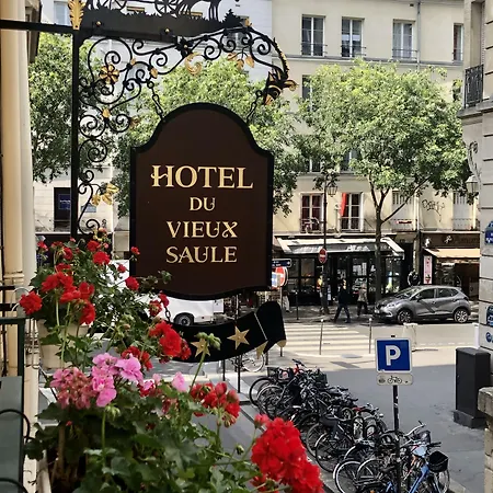 Hôtel Du Vieux Saule-2