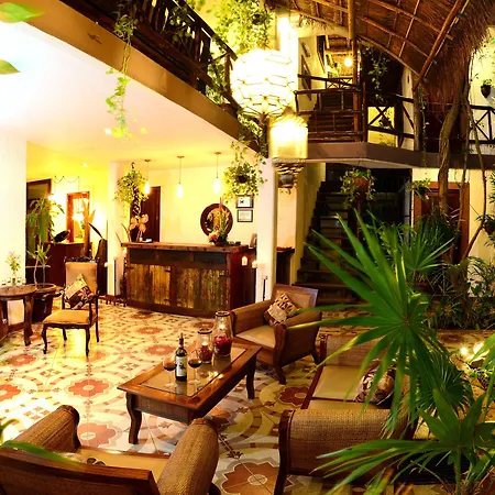 Posada Mariposa Boutique Hotel - 5Th Avenue-2