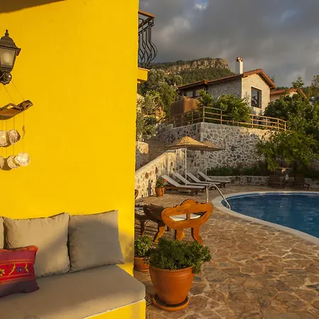 Mandarin & Mango Boutique Hotel-3