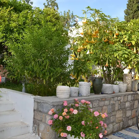 Su Hotel - Bodrum-2