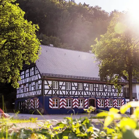 Schwarzwaldgasthof Hotel Schlossmühle-2