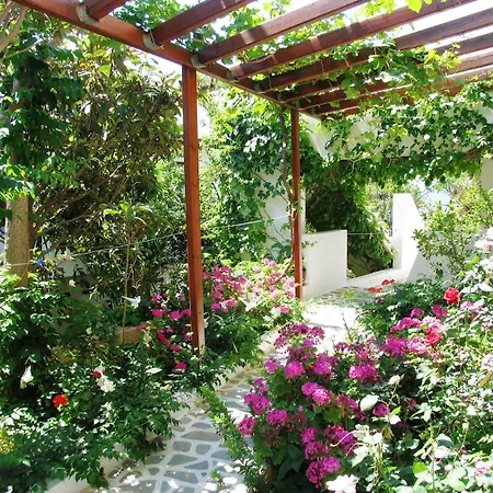 Aris Boutique Hotel-3