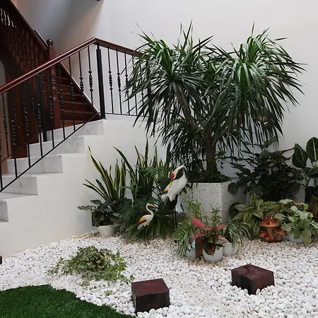 Gingerflower Boutique Hotel-3
