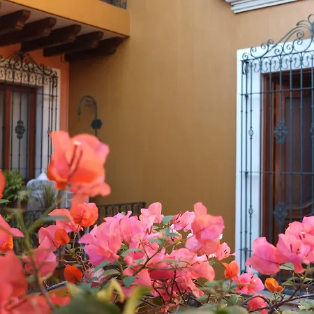 Hotel Boutique Parador San Miguel Oaxaca-2