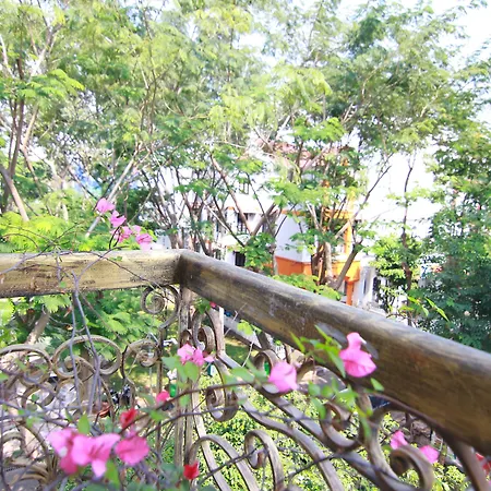 Boutique Garden Hotel-3