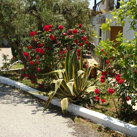 Asteris Village-2