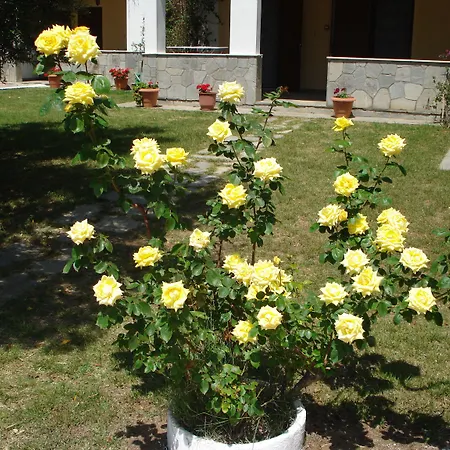 Asteris Village-3
