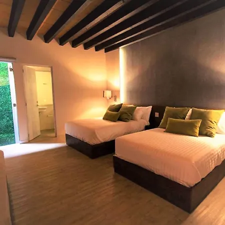Othelo Boutique Hotel Mexico-3