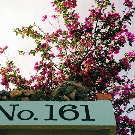 San Tropico Boutique Hotel & Peaceful Escape-2