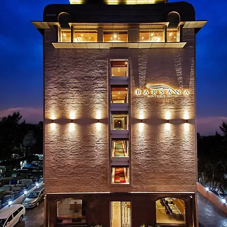 Barsana Boutique Hotel - Pure Vegetarian-3