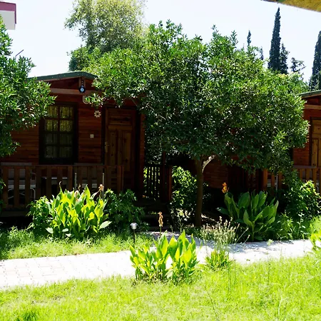 No:1281 Boutique Hotel-3