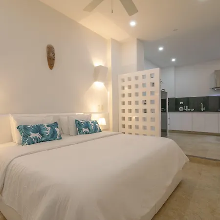 El Cactus Luxury Apartments In Historic Center-2