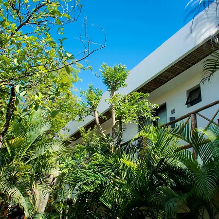 Pacha Tulum Boutique Hotel-3