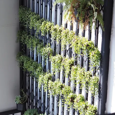 Bloom Boutique Hotel & Cafe-2
