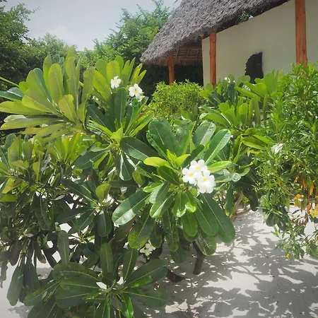 Tikitam Palms Boutique Hotel-2
