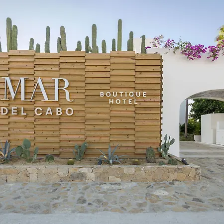 Mar Del Cabo By Velas Resorts Adults Only-3