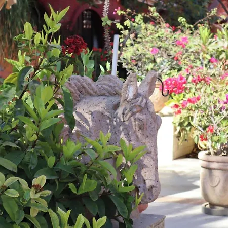 Collection O Casa Bella Hotel Boutique, Cabo San Lucas-2