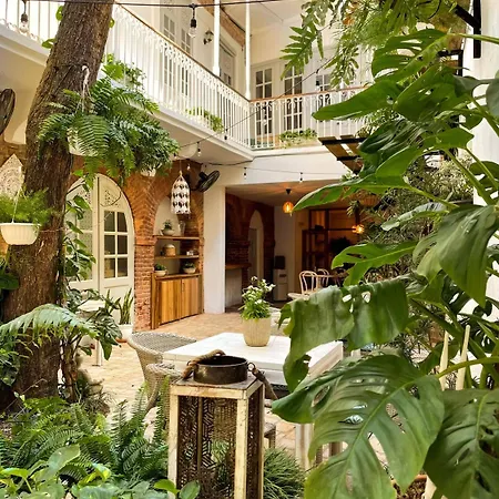 Mosquito Boutique Hotel Zona Colonial-2