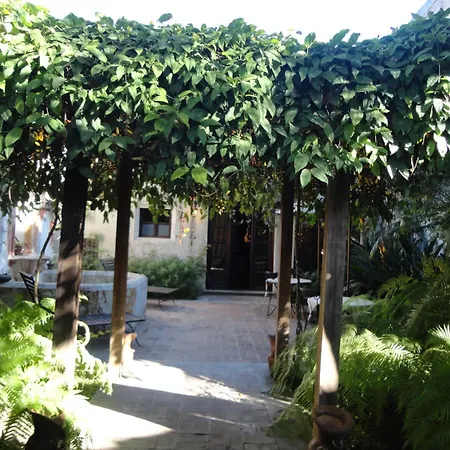 Cissus Hotel Boutique (Adults Only)-3