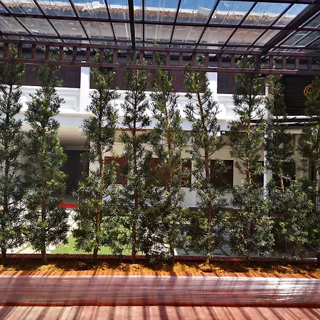 Mclane Boutique Hotel-3