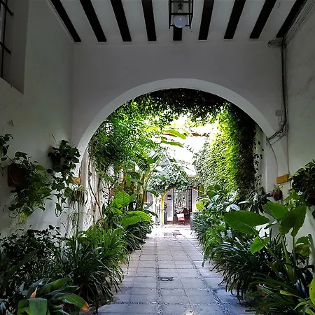 Albariza Hotel Boutique-2