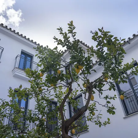 Opuntia Hotel Boutique-3