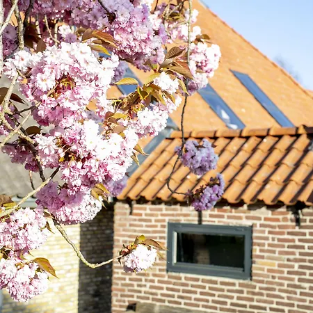 Uitgerust voor Zaken-2