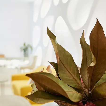 Hotel Suite Generis-3