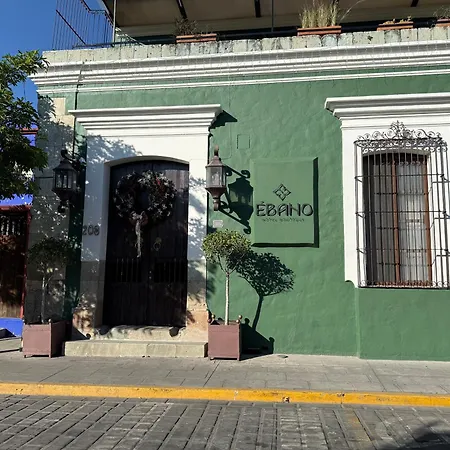 Ebano Hotel Boutique (Adults Only)-3