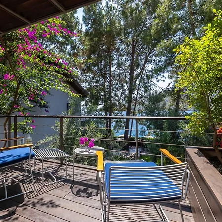 Miamai Butik Otel - Sadece Yetiskin-2