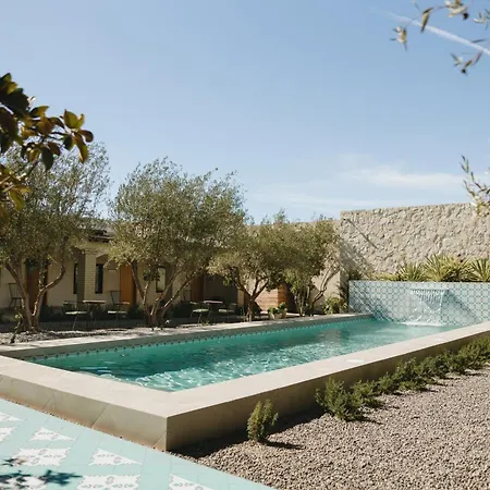 Casa Olivea-3