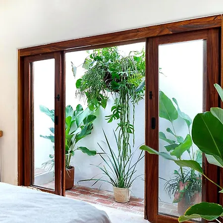 Amari Sayulita Boutique Hotel-3