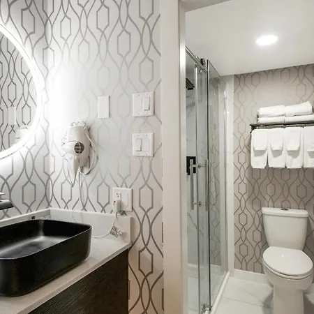 The Vic, An Ascend Collection Hotel-3