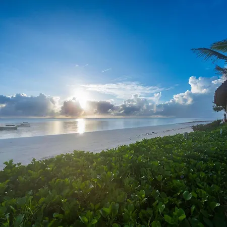 Ocean Boutique Hotel - Adults Only-3