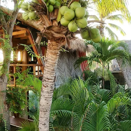 A&V Hotel Boutique-2