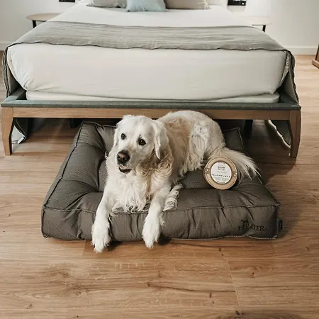 EtxeAundi Hotel Boutique-2