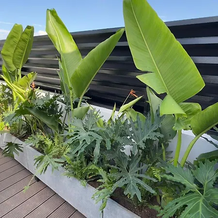 Palago Boutique Hotel & Rooftop-2