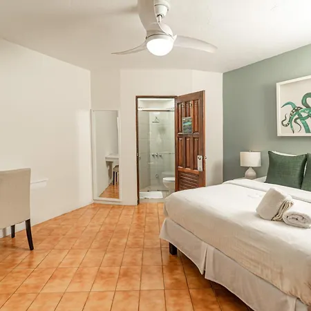 Boutique Surf Hotel Rip Jack Inn-3