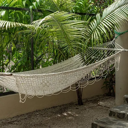 Boutique Surf Hotel Rip Jack Inn-2