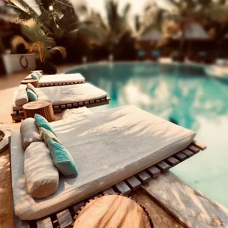 Zen Boutique Retreat & Resort-3