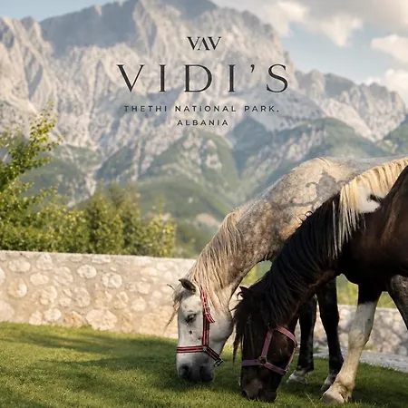 Vidis Chalet Boutique Hotel-3