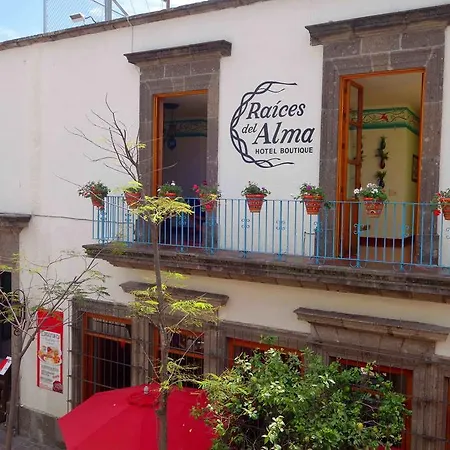 Raices Del Alma Hotel Boutique-2