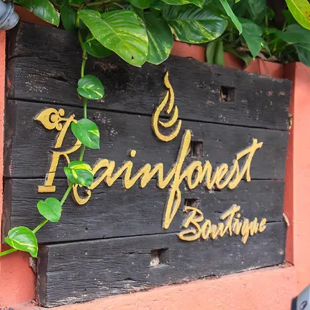 Sunday Rainforest Chiangmai Hotel-3