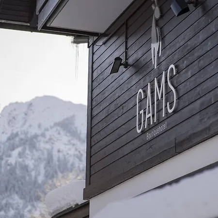 Boutique Hotel Gams-2