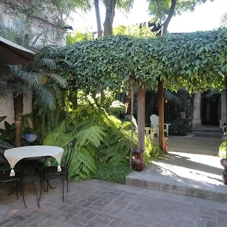 Cissus Hotel Boutique (Adults Only)-2