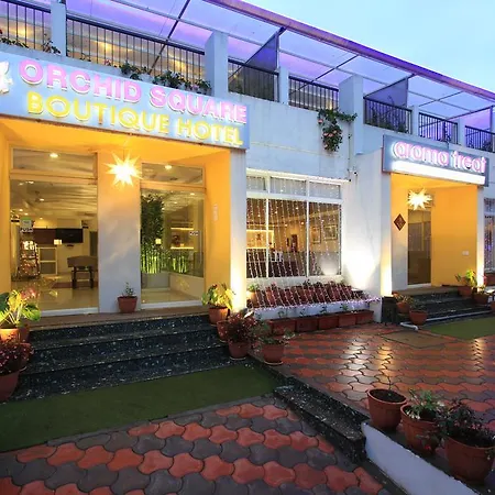 Orchid Square-3