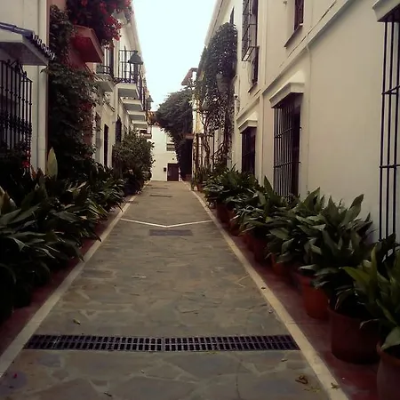 Linda Marbella-2